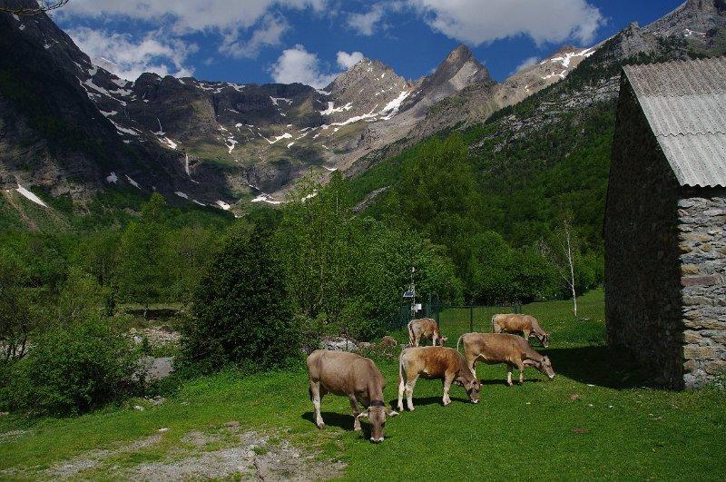 Bungalows Pena Montanesa Ainsa Exterior photo